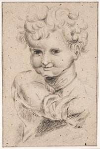 Estudio de niño, cabeza y torso