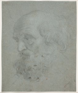 Cabeza de hombre barbudo (Apóstol Pedro) de Hendrik Krock