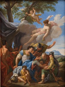 Venus trayendo hierbas para el herido Eneas de Hendrik Krock