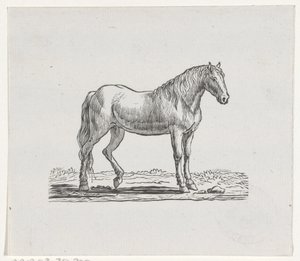 Caballo de Hendrik Numan