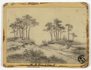 Camino a través de los árboles de Hendrik Pieter Koekkoek