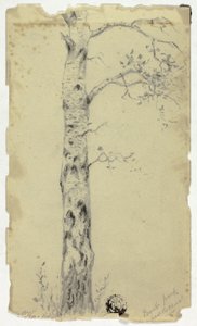 Regent Park, cerca del Canal de Hendrik Pieter Koekkoek