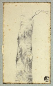 Boceto de Tronco de Árbol