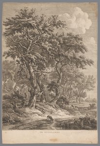 Paisaje en Zuidlaren En Zuidlaren (título sobre objeto) Nueve caras en Drenthe (título de la serie) IX Rostros en y cerca del paisaje de Drenthe (título de la serie) de Hendrik Schwegman