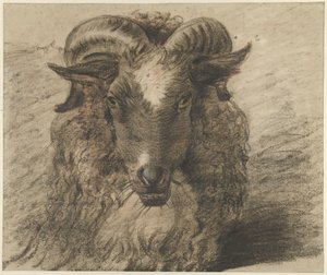 Cabeza de carnero de Hendrik Stokvisch