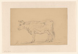 Estudio de una vaca en pie de Hendrik Verspoeken
