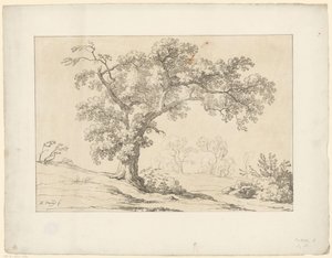 Árbol en paisaje Tentamina Lithographica (título de la serie) Paisajes italianos (título de la serie) de Hendrik Voogd