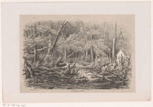 Árboles caídos en Jacobalaan, tras la tormenta del 28 de mayo de 1860
Jacobalaan (título en el objeto)
Álbum de diez bocetos litografiados que representan escenas de la destrucción causada por la tormenta del 28 de mayo de 1860 en el 