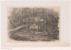 Árbol derribado en Buitenlust, tras la tormenta del 28 de mayo de 1860 Buitenlust (título sobre el objeto) Álbum de diez bocetos litografiados, que representan a Tooneelen de la destrucción, agitados por la tormenta del 28 de mayo de 1860 en el 