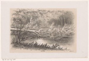 Árbol volado, tras la tormenta del 28 de mayo de 1860 Estanque (título sobre el objeto) Álbum de diez bocetos litografiados, que representan a Tooneelen de la Destrucción, Agitado por la tormenta del 28 de mayo de 1860 en el 