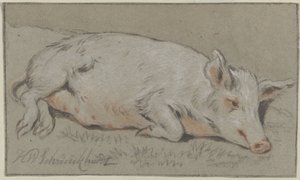 Cerdo reclinado de Hendrik Willem Schweickhardt (signed by artist)