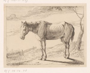 Caballo Diferentes animales (título de la serie) de Hendrik Willem Schweickhardt