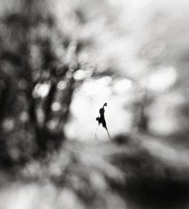 Figura solitaria y etérea de Hengki Lee