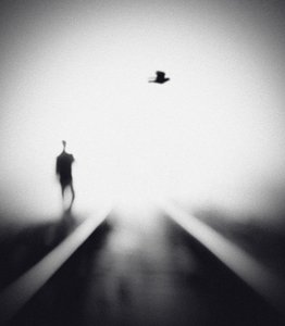Hombre solitario, pájaro volador de Hengki Lee