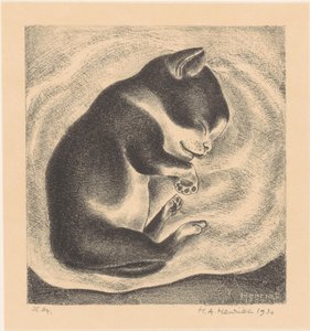 Gato joven dormido de Henk Henriët (signed by artist)