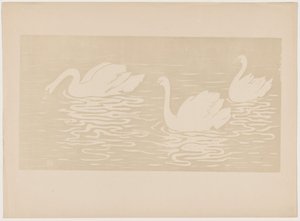 Los cisnes