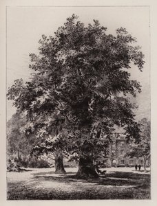Cambridge: El jardín de Christ