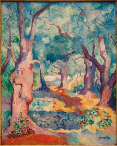 Los olivos en Cavalière