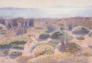 La Playa de Vignasse de Henri Edmond Cross