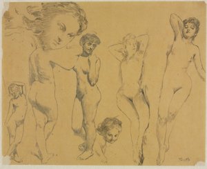 Estudios de desnudos femeninos