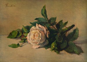 Rosa blanca, c1863, 1938