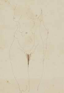 Torso desnudo femenino