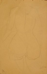 Desnudo femenino de medio cuerpo