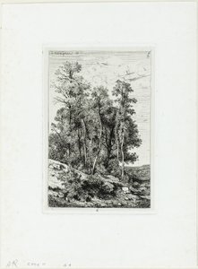 Abedules y robles de Henri Joseph Harpignies