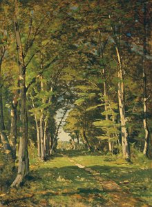 Los bosques de Famars