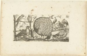 dieciocho pájaros Pájaros (título de la serie) de Henri Le Roy