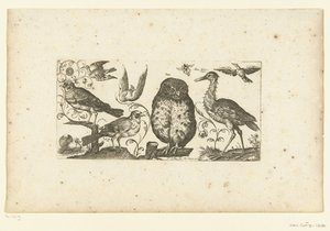 Nueve pájaros y un insecto Pájaros (título de la serie)