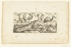 diecinueve pájaros Pájaros (título de la serie) de Henri Le Roy