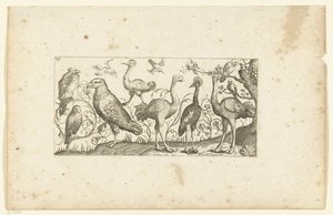 Doce pájaros Pájaros (título de la serie) de Henri Le Roy