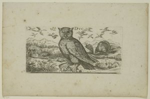 Búho y otras aves Pájaros (título de la serie) de Henri Le Roy