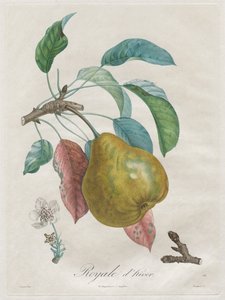 Tratado de los árboles frutales: Royal dhiver, 1808-1835 de Henri Louis Duhamel du Monceau