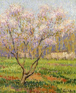 Manzano en flor de Henri Martin
