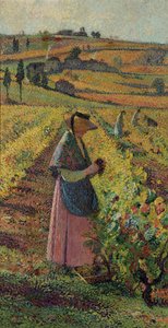 La cosecha de Henri Martin