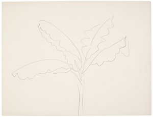 Platanero (Tahití) de Henri Matisse