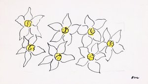 Narcisos