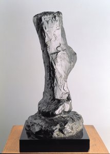 Estudio de un pie de Henri Matisse