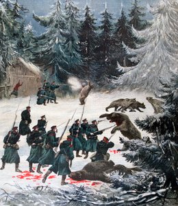 Ataque de oso, Rusia, 1892
