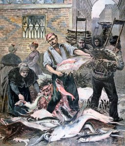 El mercado de pescado, París de Henri Meyer