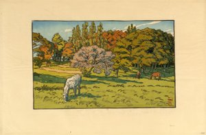 Pequeño bosque en el Béreto (Douarnenez)