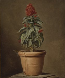 Una planta en maceta de Henri Roland de la Porte