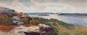 Sídney desde Vaucluse de Henri Tebbitt
