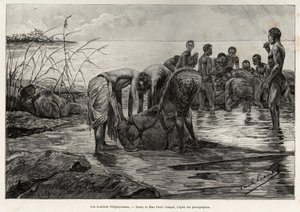 Una carnicería de hipopótamos en las orillas de un río de África Central. Grabado de Henri Thiriat para ilustrar la historia 
