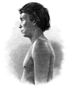Indio Guatsu, América Central, c1890
