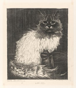 Bonte Angora (título original del objeto) de Henri Verstijnen (signed by artist)