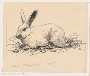 Conejo de Henri Verstijnen (signed by artist)