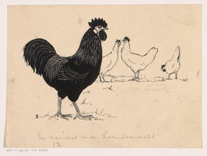 Aves de corral
